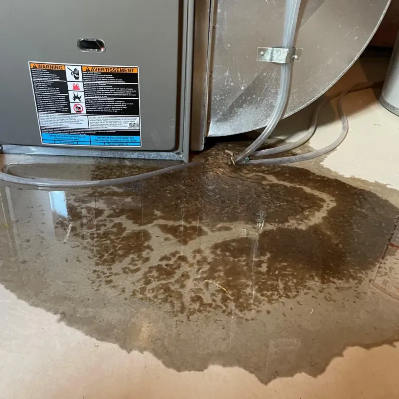 Appliance Leak Cleanup in Taylorsville, NC